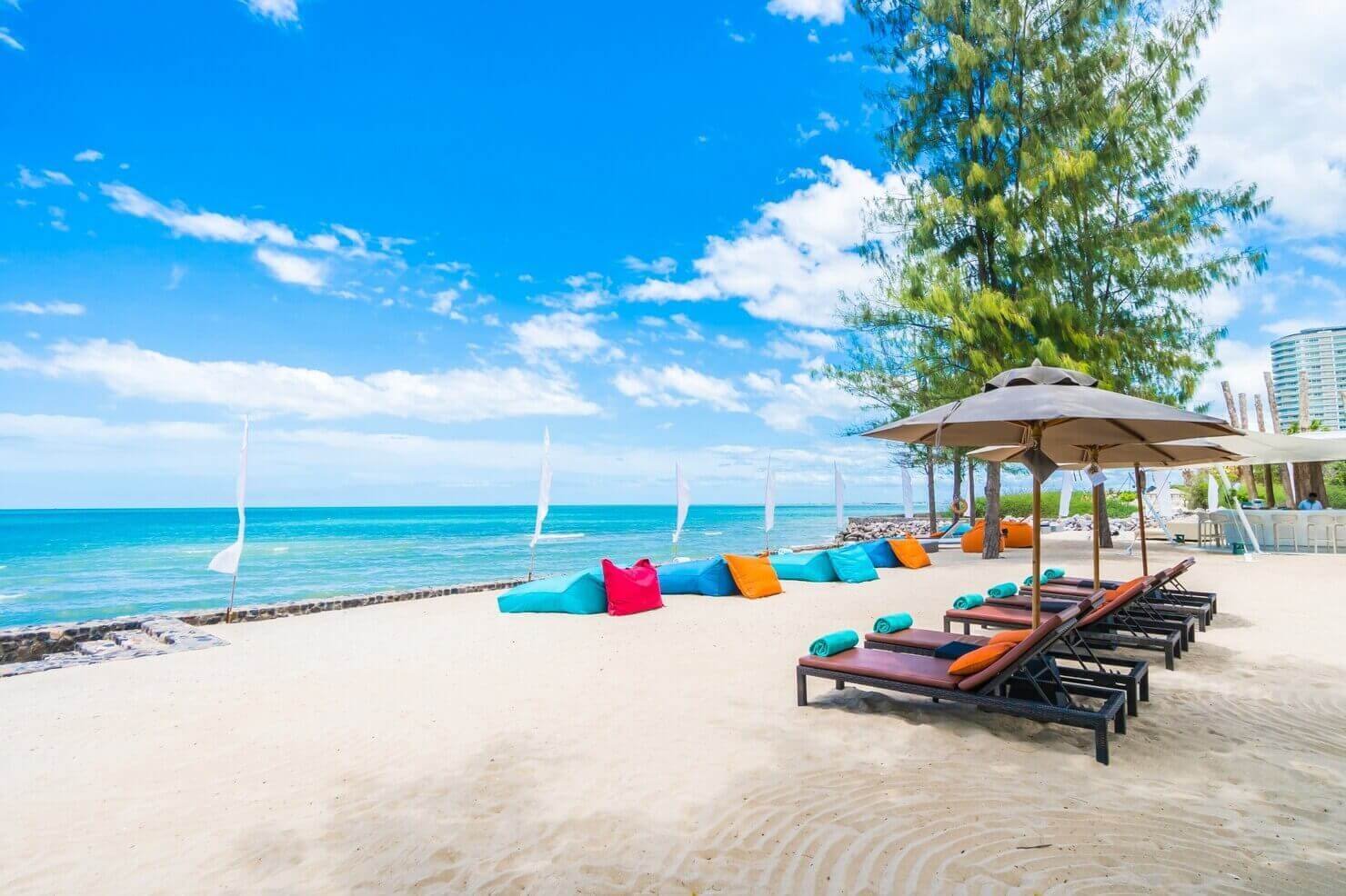Beach & Bush