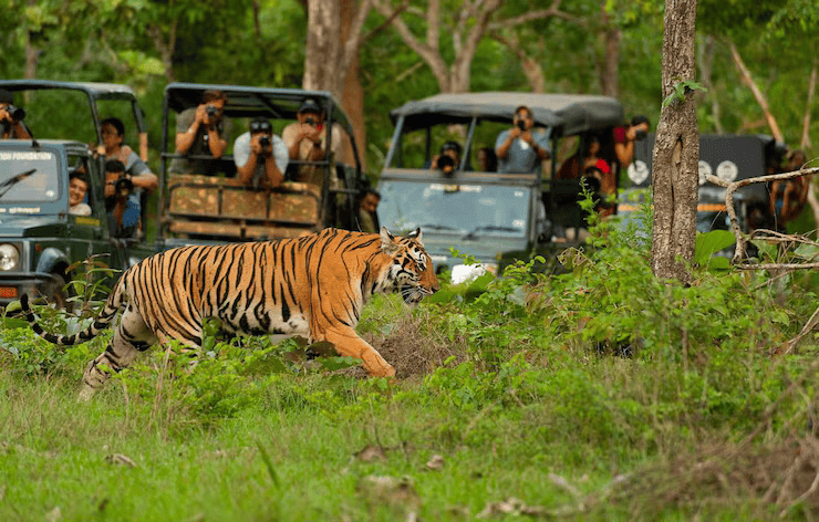 Family & Group Travel