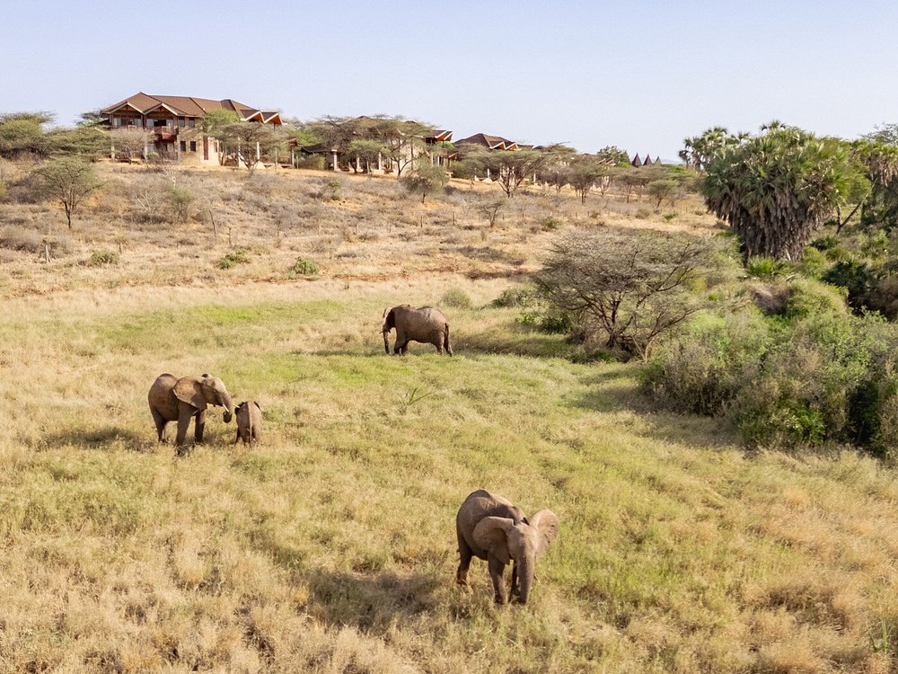 Safari gallery