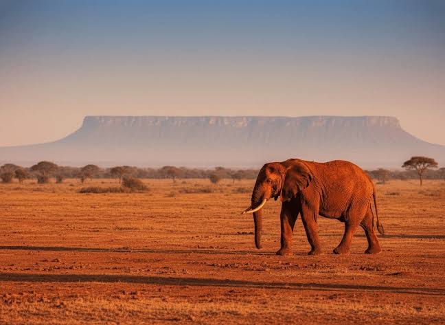 Tsavo East & West