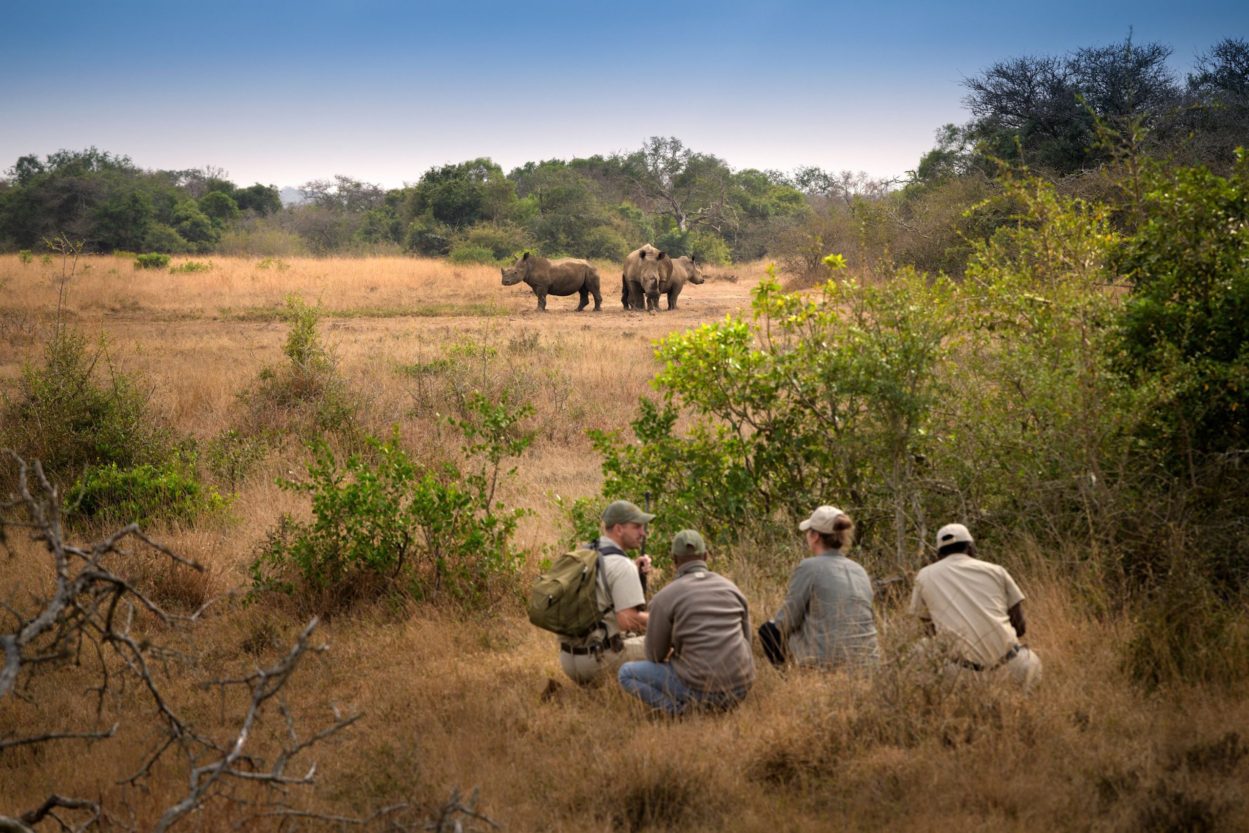 Guided Bush Walks